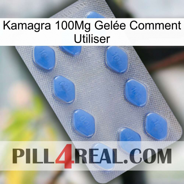 Kamagra 100Mg Gelée Comment Utiliser 21.jpg